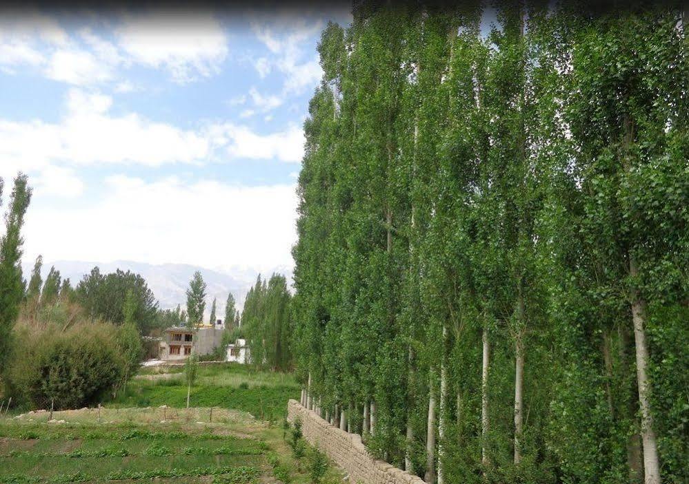 Hotel Ladakh Heaven Λεχ Εξωτερικό φωτογραφία